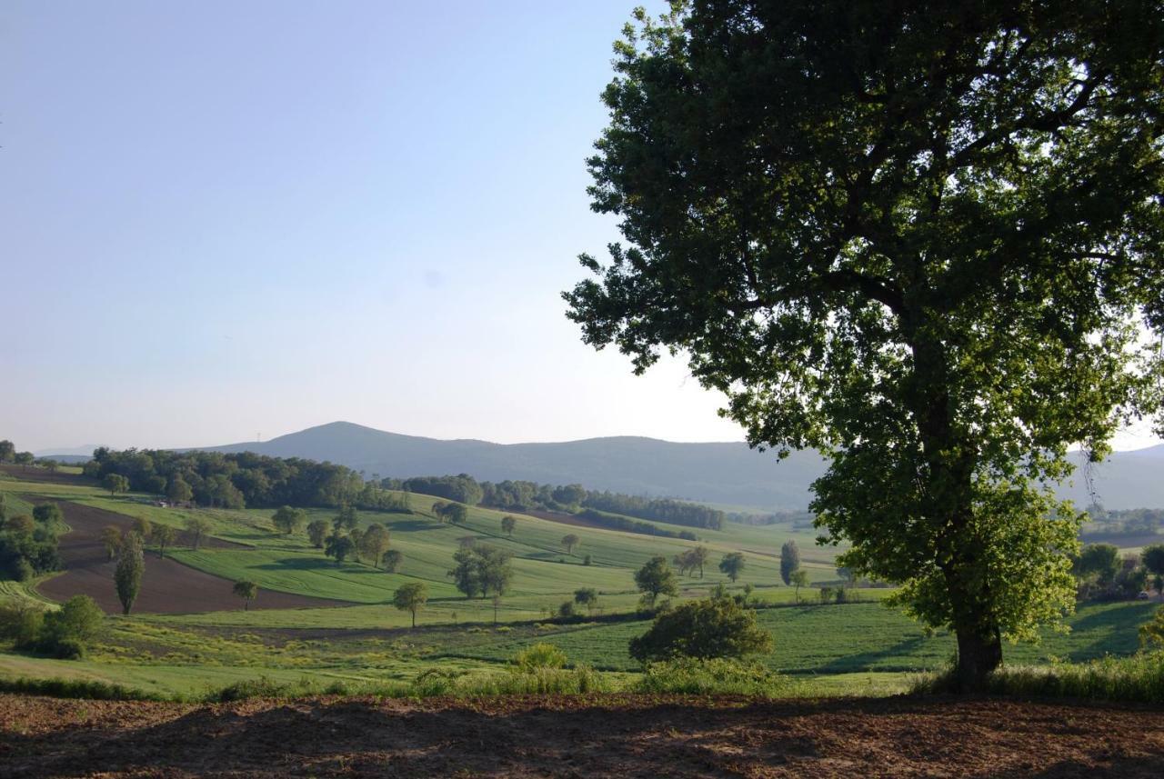 Bilocale Verde Umbria Montecastrilli Buitenkant foto