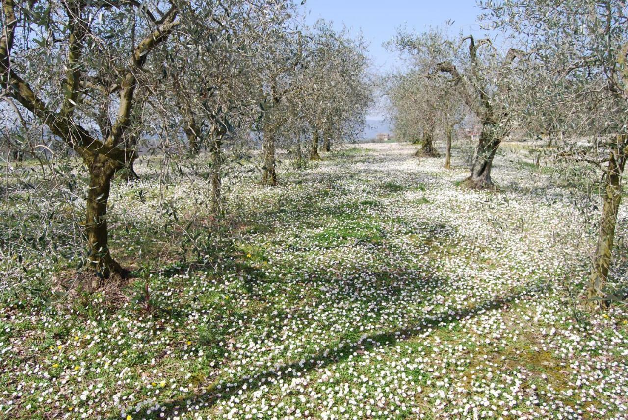 Bilocale Verde Umbria Montecastrilli Buitenkant foto
