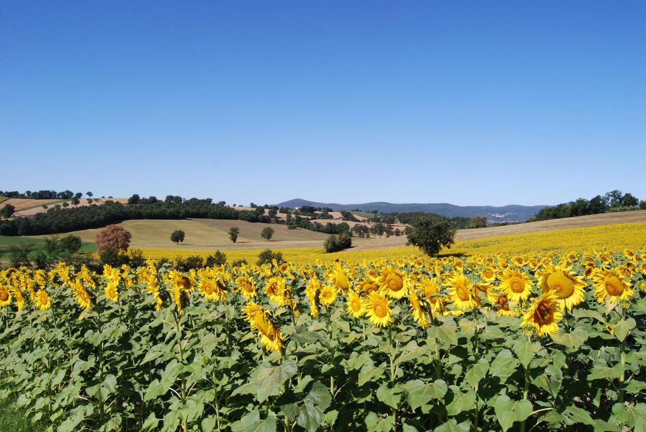 Bilocale Verde Umbria Montecastrilli Buitenkant foto
